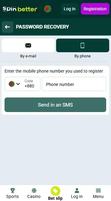 Password Recovery by Phone Number