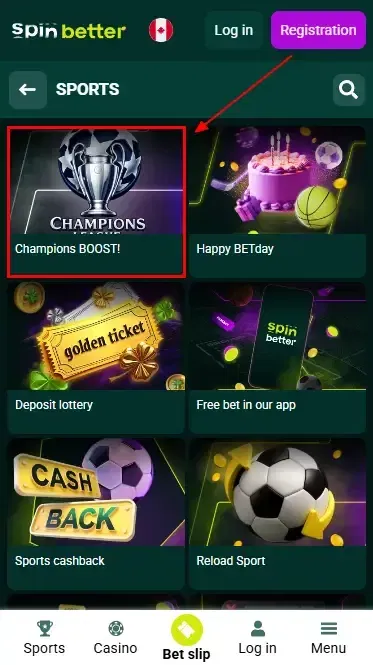 Seasonal and Special Bonuses at Spinbetter CA