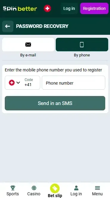 Password Recovery by Phone Number