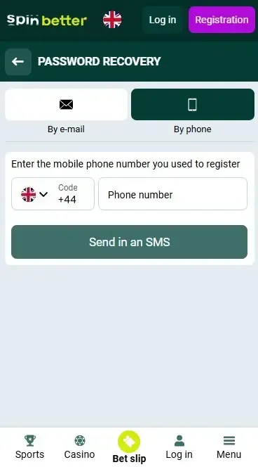 Password Recovery by Phone Number