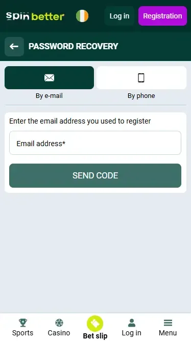 Password Recovery by Email in Ireland