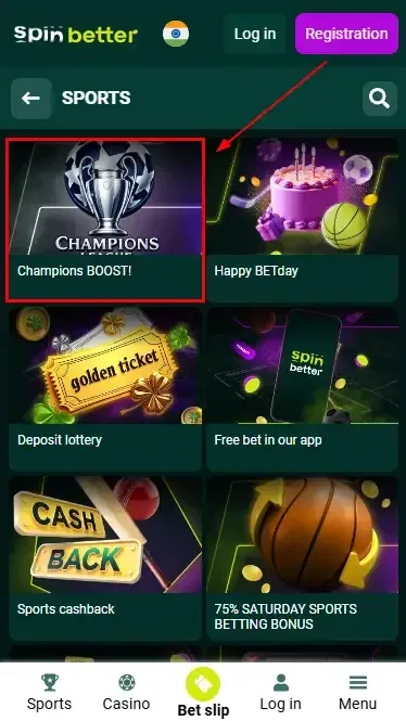 Seasonal and Special Bonuses at Spinbetter India