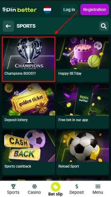 Seasonal and Special Bonuses at Spinbetter NL