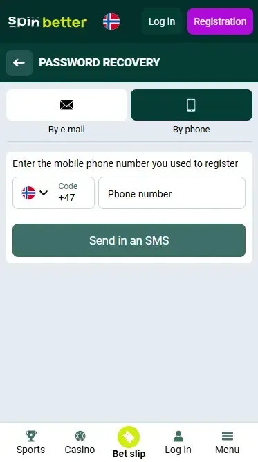 Password Recovery by Phone Number