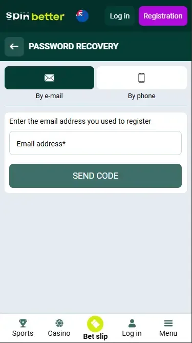 Password Recovery by Email in New Zealand