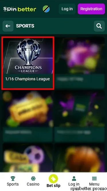 Seasonal and Special Bonuses at Spinbetter TZ