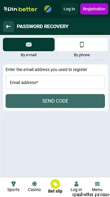 Password Recovery by Email in Tanzania