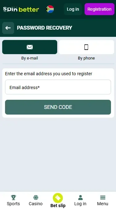 Password recovery by email in South Africa