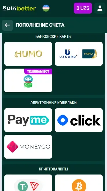 Варианты депозита в Spinbetter