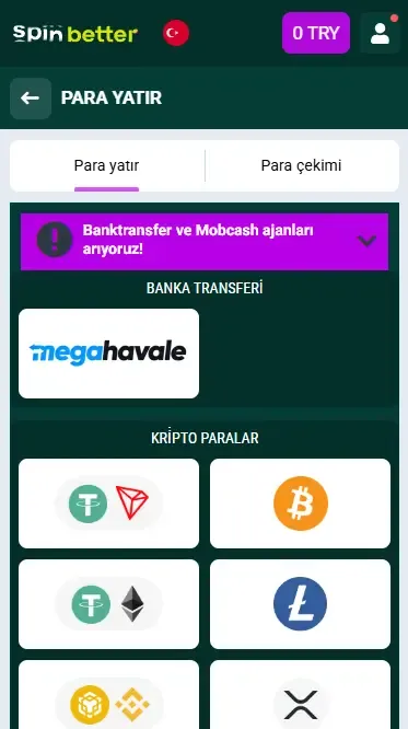 Spinbetter Türkiye: Para Yatırma Seçenekleri