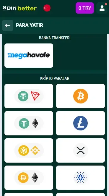 Spinbetter Türkiye Para Yatırma Seçenekleri